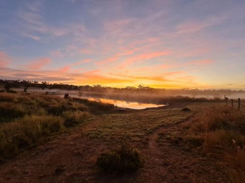 The Barn Mundubbera, family & pet friendly in Wyandra