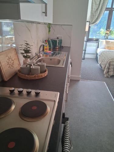 Crown House Studio Apartment in Smethwick