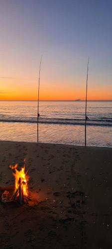 สภาพแวดล้อมโดยรอบ, Tirohanga Beach Escape in โอโพทิกิ