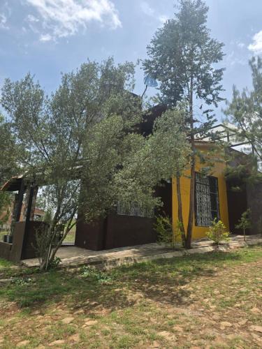 Cabaña Eucalipto 32