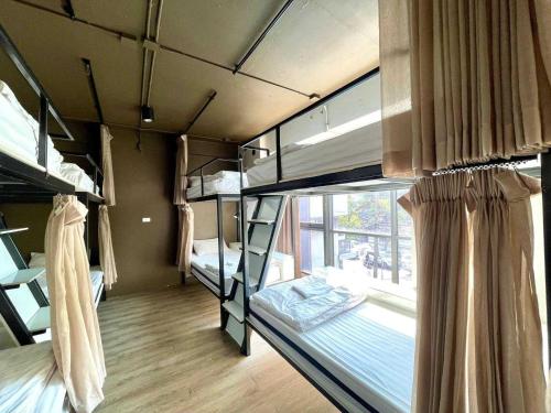 Bunk Bed in Mixed Dormitory Room image 4