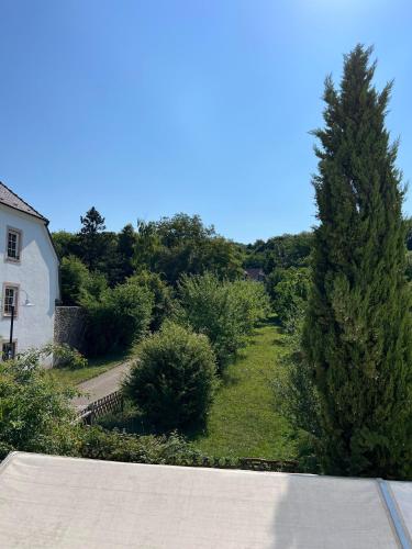 Kilátás, Hotel Restaurant Lavelle in Bliesmengen-Mandelbachtal