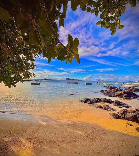 3bed villa with private pool and rooftop with a sea view in flic-en-flac, Mauritius, Flic-en-Flac (fotografie 3)