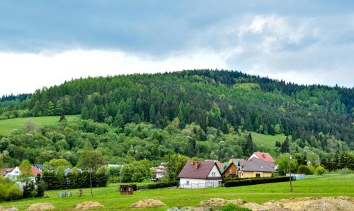 B&B Tylicz - Apartament Pod Łanem - Bed and Breakfast Tylicz