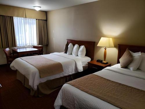Airport Inn