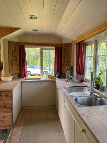 Geilo, two cabins, silence, nature, skiing and summer sports, Geilo (photo 8)