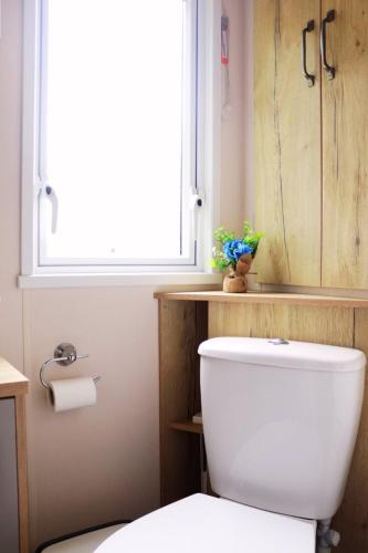 Relax, Enjoy fast Starlink Wi-Fi, Carlisle (foto 3)