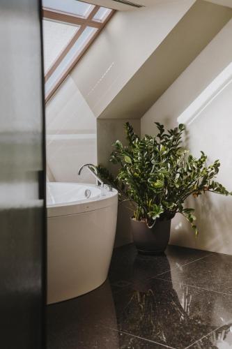 Badezimmer, Timbre Virtudes near Centro Português de Fotografia