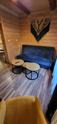Apartamenty i Domki Biały Dunajec