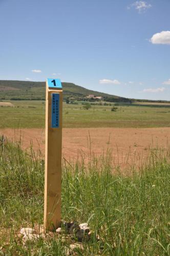 Gite "panda" la vincence in La Verdiere