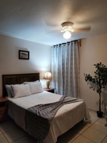 H San Carlo Suite - Miniatura 4