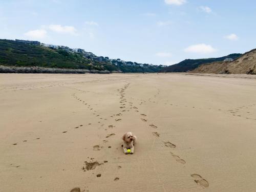 Greycott - Uk48746, Crantock (foto 10)