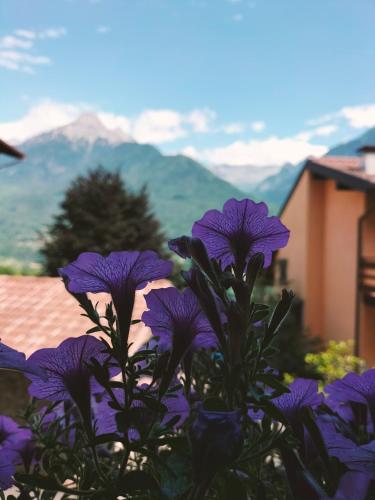 Catif Ladrù (Catif Ladru) in Cerveno