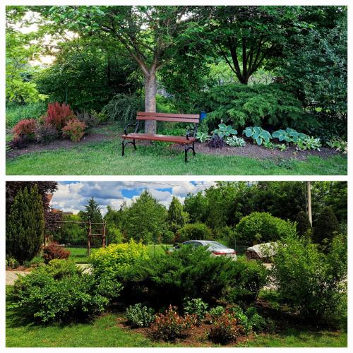 Völgy Apartman - Apartment - Eger