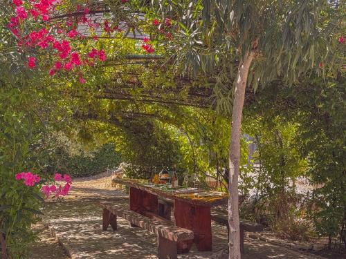 Villa Antolina - Il Cielo In Una Stanza by Host Hero - image 3