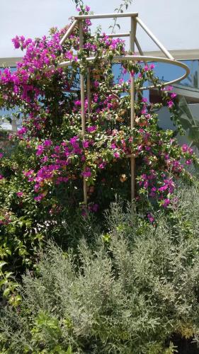 Vrissaki Beach Hotel - image 5