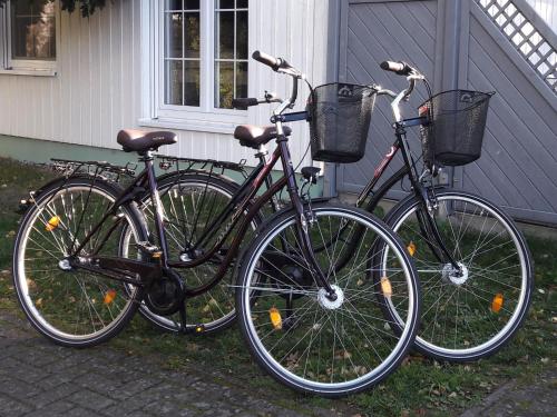 Zinnowitz Skanepark Ferienhaus 28 - image 9