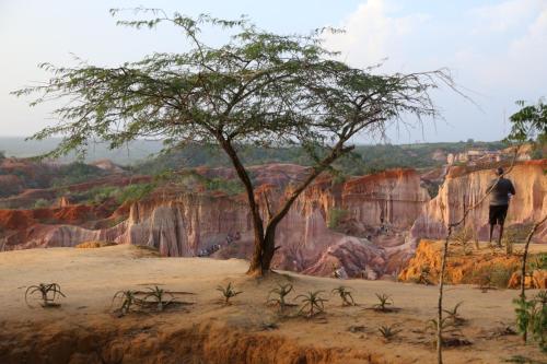 Nyota 11 - Jua Resort in Watamu