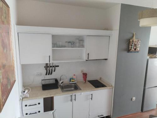 Whait Coast Apartments 8 m from the sea 105m2 the first line in Kavarna