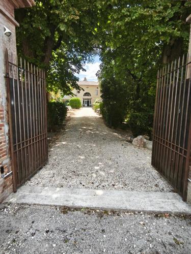 Domaine du Parc Waechter