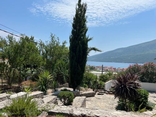 Apartman Boka bay in Denovici