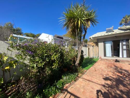 Fig Tree, Montagu (foto 7)