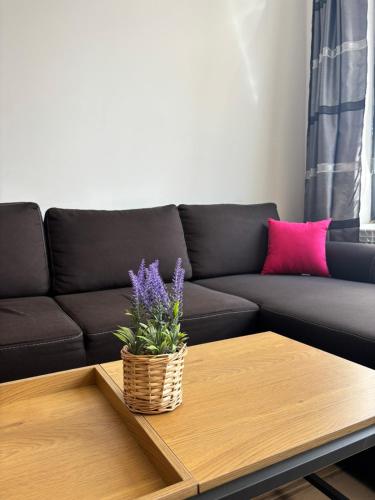Amarant Residence One Bedroom Apartment, Sofia (Foto 7)