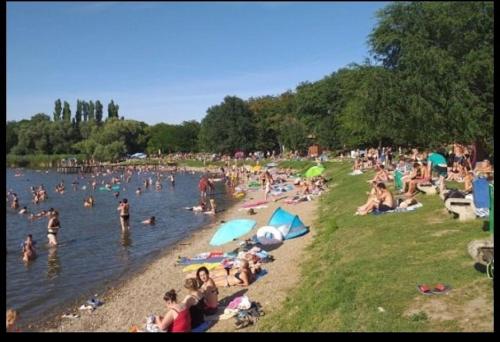 Apartman Boni in Zobnatica