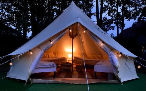 Chill Camp