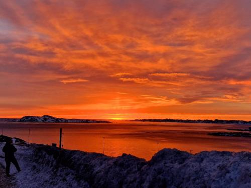 Unnuisarfik Iglo Nuuk in Nuuk