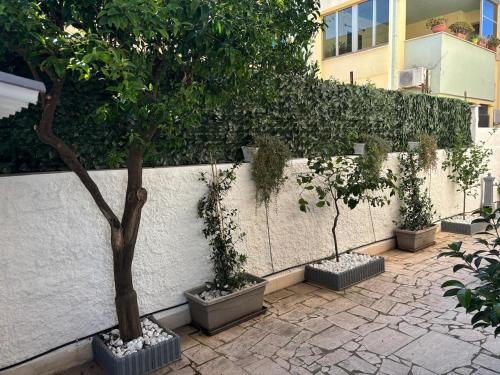 Nettuno Summer Home in เนตตูโน