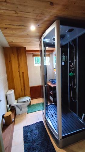 Studio Amboise, parking, terrasse et jardin, Amboise (Foto 10)