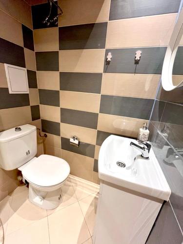 Winter Palace Vitosha View Studio, Sofia (photo 9)