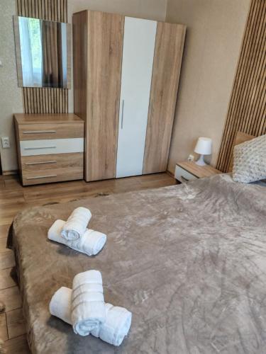 Iskra Apartment, Sofia (zdjęcie 6)