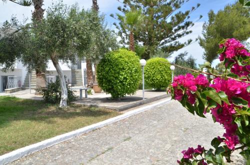 Blue Nest Hotel - image 2
