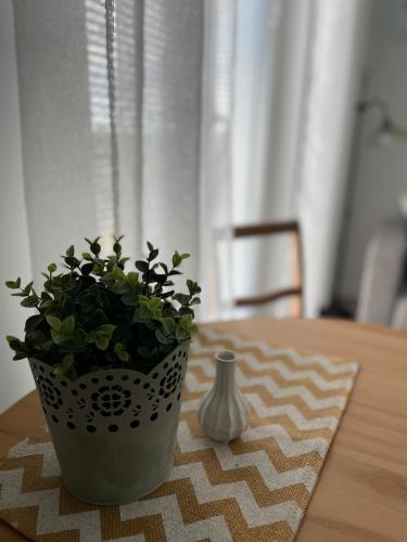 Stylish downtown studio apartment in Kangasala