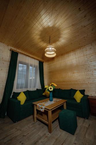 Аревацахик Подсолнух, Sunflower, Vanadzor (foto 3)