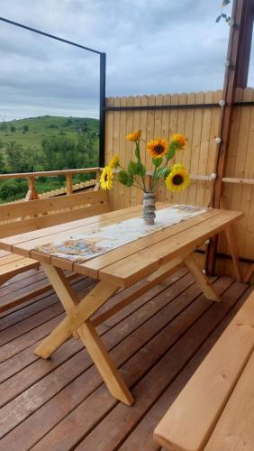 Аревацахик Подсолнух, Sunflower, Vanadzor (foto 9)