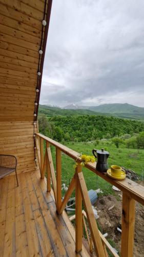 Аревацахик Подсолнух, Sunflower, Vanadzor (foto 10)