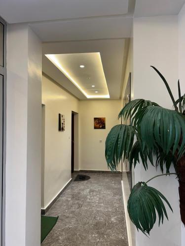 House tigmi, Agadir