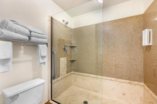 Quality Inn & Suites Airport North - image 11