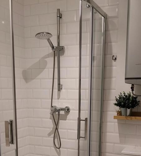 Melodia Ciszy Apartament Dębina