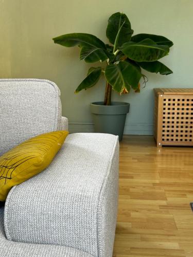 Apartment in Rotterdam Blijdorp, Rotterdam (photo 2)