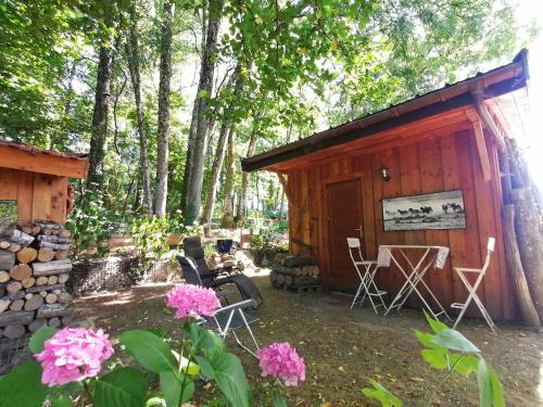 Cabane en forêt (Cabane en foret) in Marcellaz-Albanais