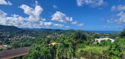 Nia's Hillside Apartment - Amazing Scenery in Marisule