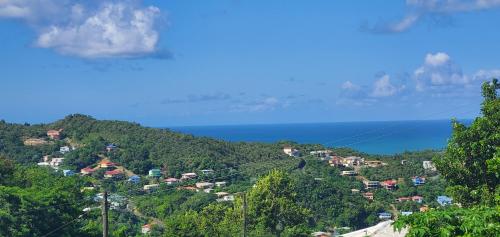 Nia's Hillside Apartment - Amazing Scenery in Marisule