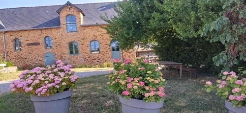 Logis de la Provosterie - CYCLAMEN chambre d'hôte Le Haut Chêne