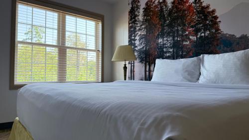 Split Rock Resort, Lake Harmony (zdjęcie 11)