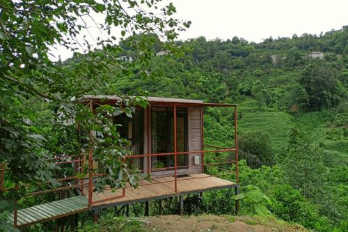 Modular House Green Zyland Gamma - Khala