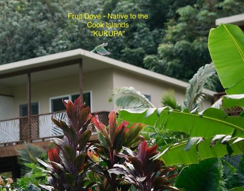 المنظر الخارجي, Avana Valley Heights in Matavera